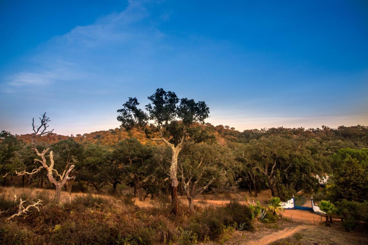 منزل الضيف Monte da Estrada  في Figueirinha Ecoturismo المظهر الخارجي الصورة