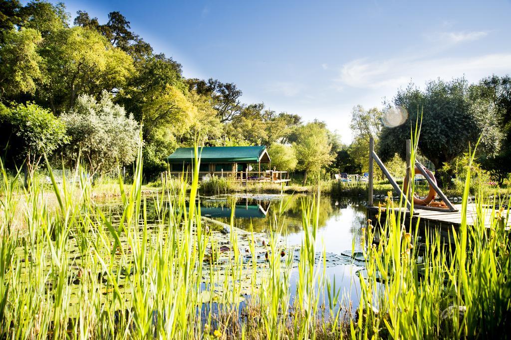 منزل الضيف Monte da Estrada  في Figueirinha Ecoturismo المظهر الخارجي الصورة